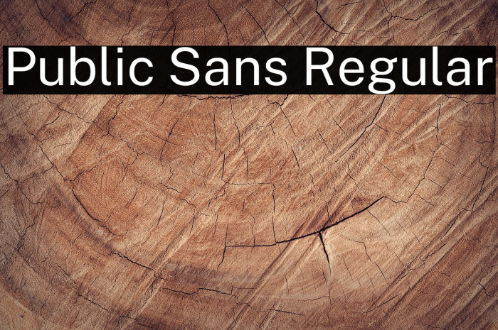 Public Sans Regular Font examples