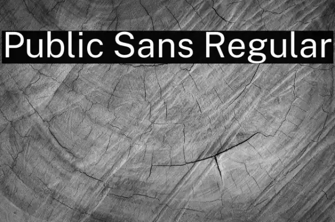 Public Sans Regular Fuentes examples