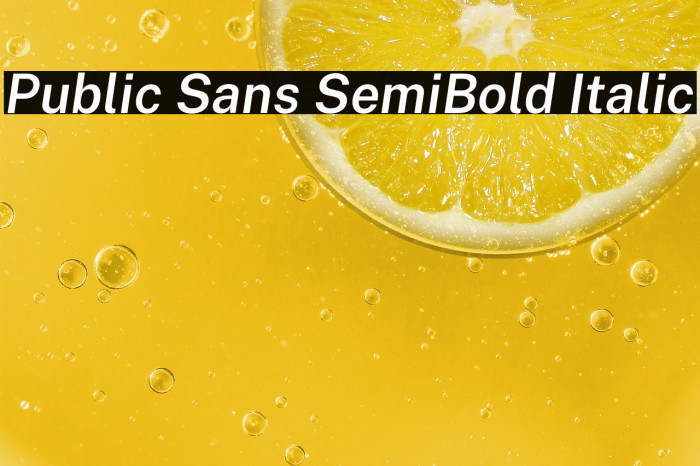 Public Sans SemiBold Italic Example 1