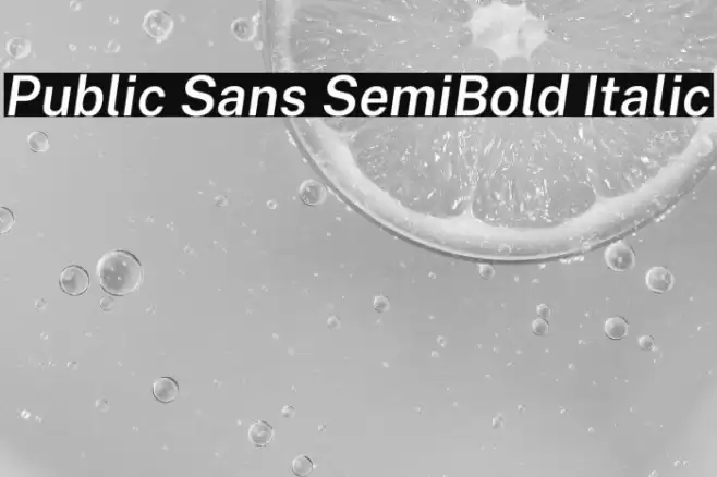 Public Sans SemiBold Italic Font examples