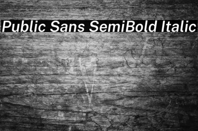 Public Sans SemiBold Italic Font examples