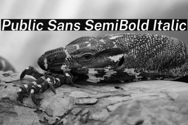 Public Sans SemiBold Italic Font examples