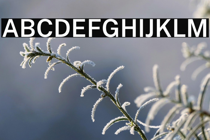 Public Sans SemiBold Example 1