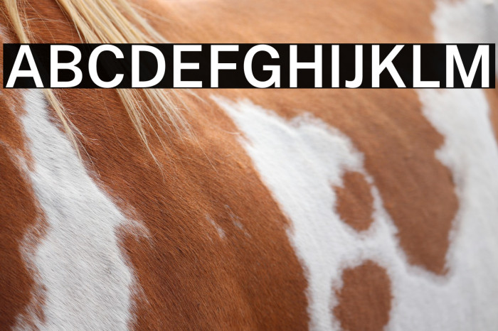 Public Sans SemiBold Example 3