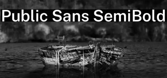 Public Sans SemiBold Font examples