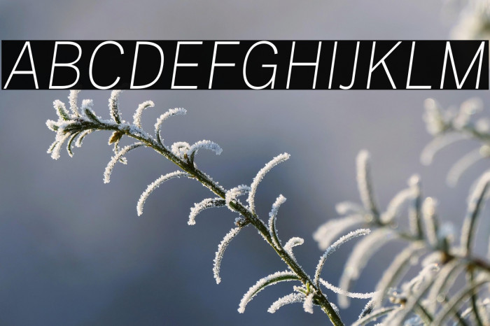 Public Sans Thin Italic Example 2