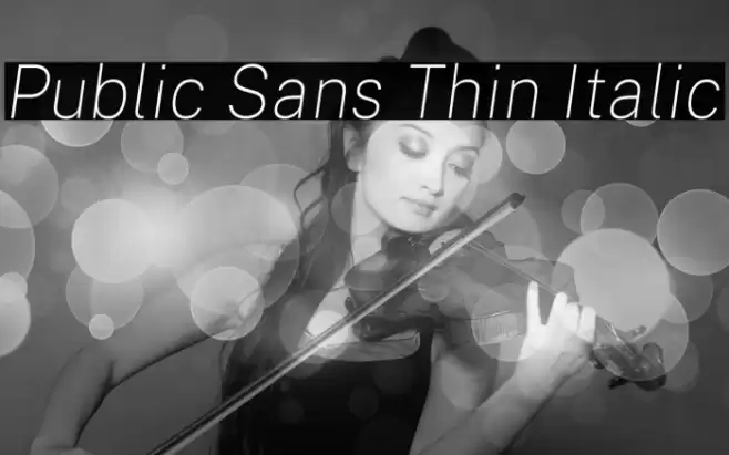 Public Sans Thin Italic Font examples