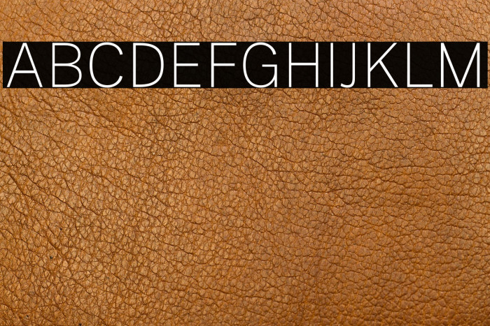 Public Sans Thin Example 1