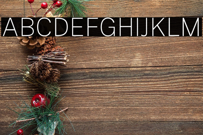 Public Sans Thin Example 3