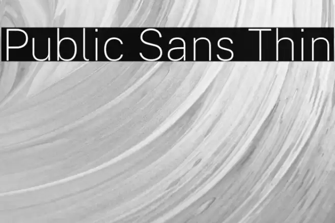 Public Sans Thin Font examples