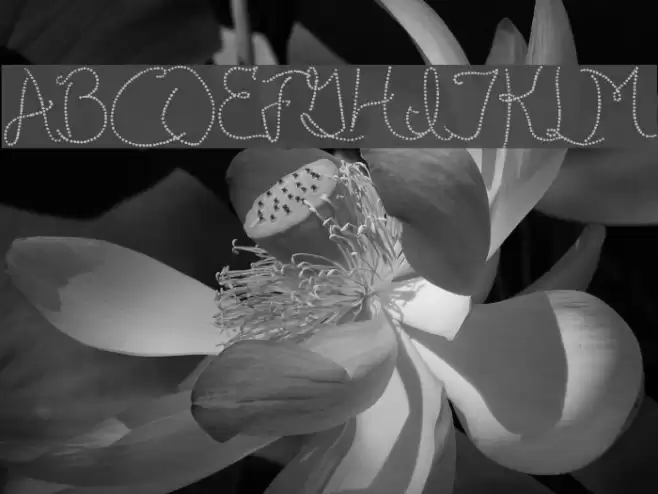 Publicite d'epoque basic Шрифта examples