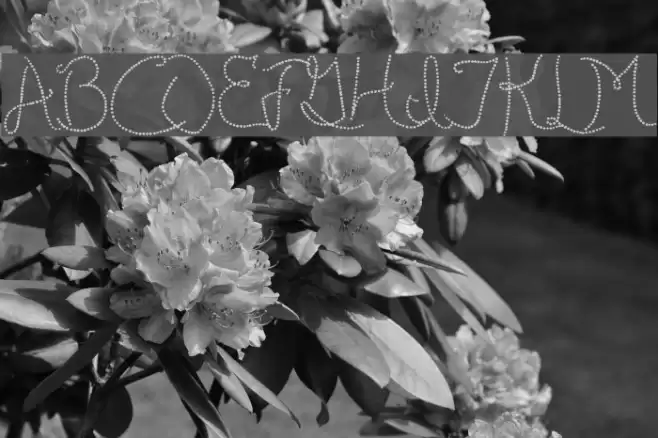 Publicite d'epoque basic Шрифта examples