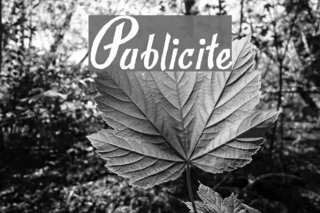 Publicite Font examples