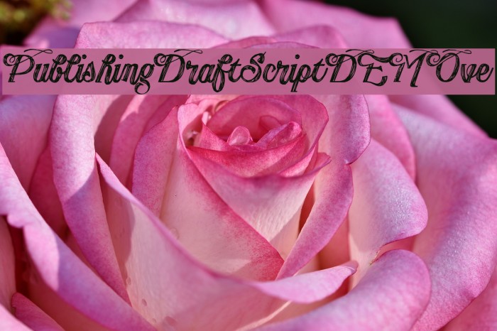 PublishingDraftScriptDEMOve Font examples