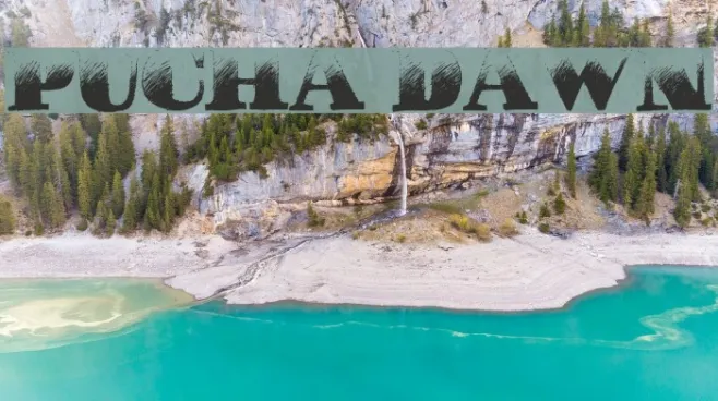 Pucha DAWN Example 2