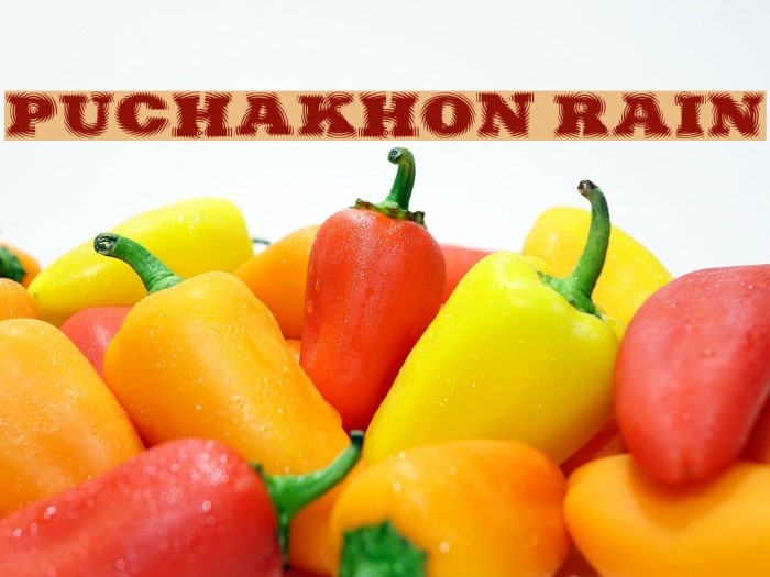 Puchakhon RAIN Font examples