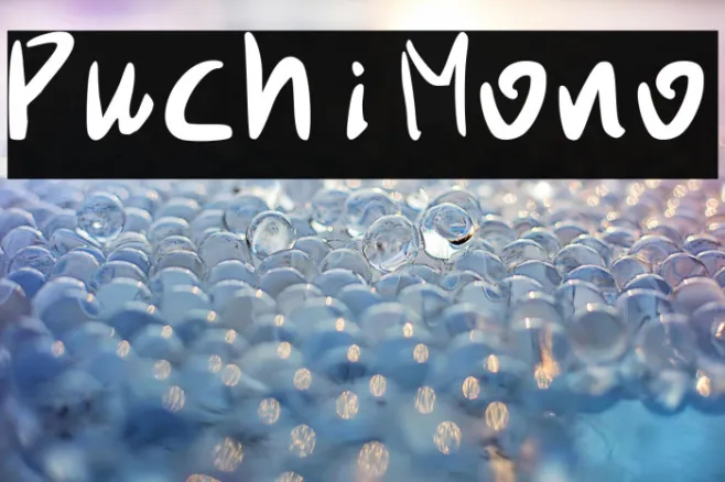PuchiMono Example 2