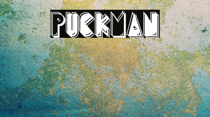 PuckMan Example 2
