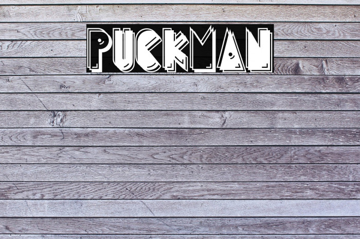 PuckMan Example 3