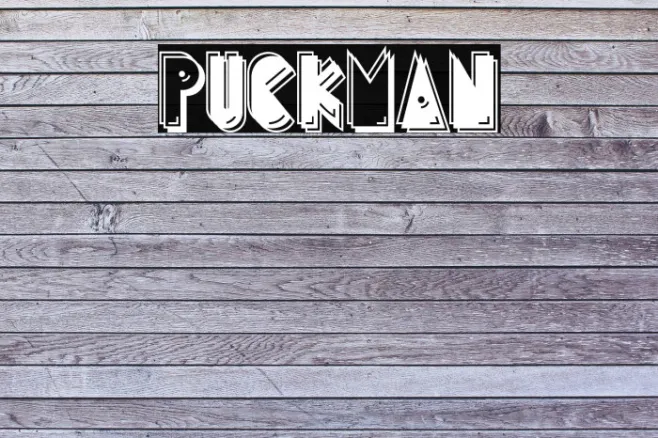 PuckMan Example 3
