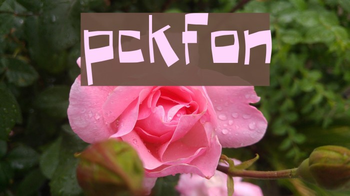 Puckfont Font examples