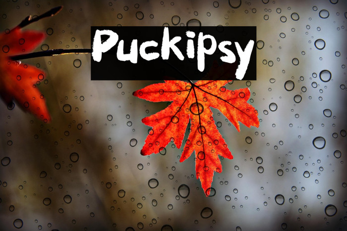 Puckipsy Example 1