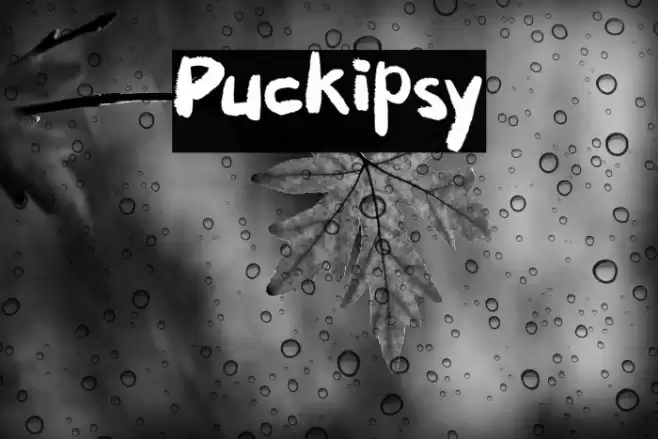 Puckipsy फ़ॉन्ट examples