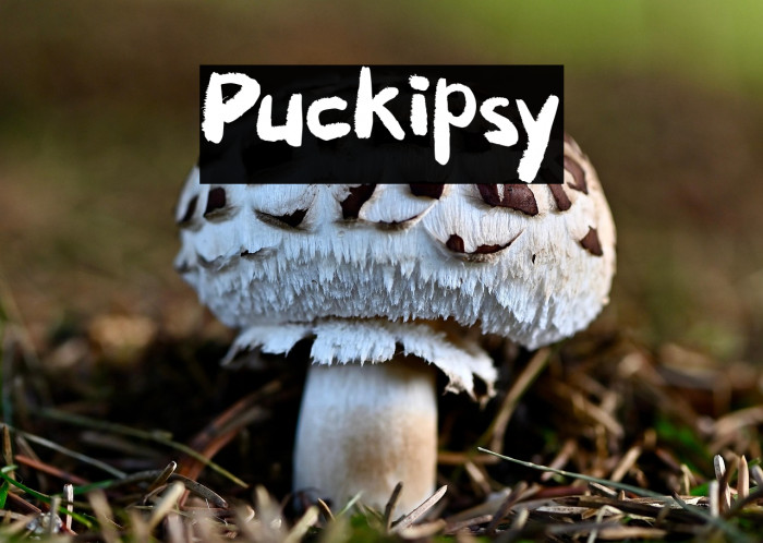 Puckipsy Example 2