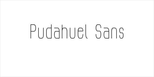 Pudahuel Sans Logo