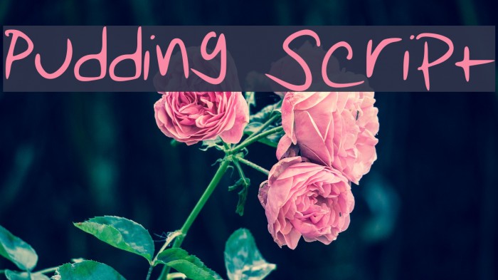 Pudding Script Font examples