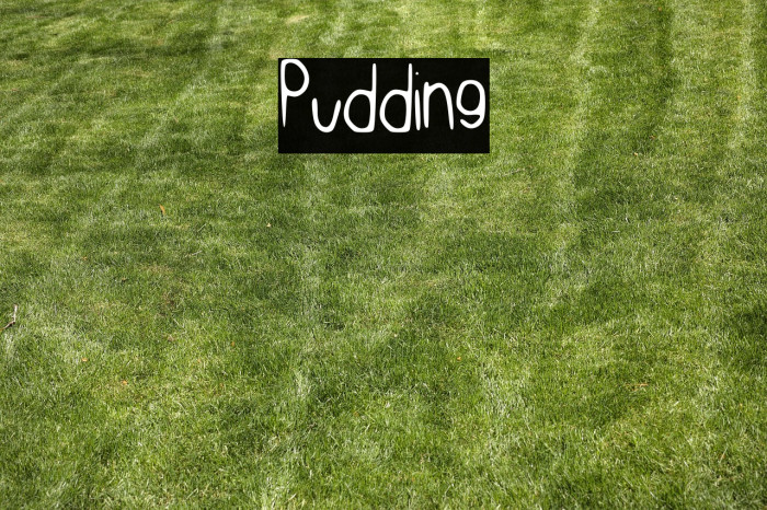 Pudding Example 2