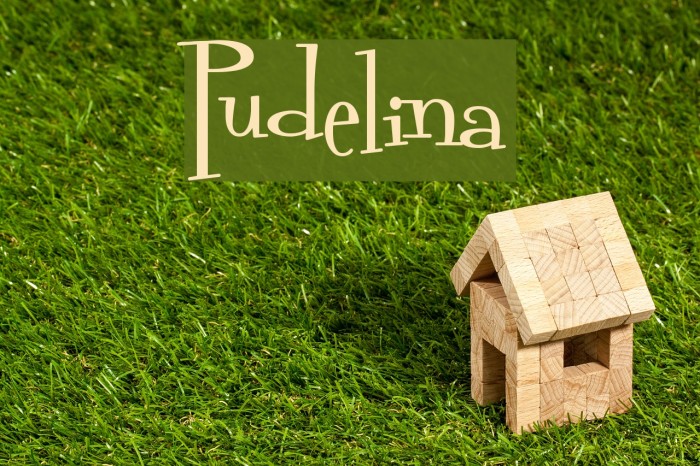 Pudelina Schriftart examples