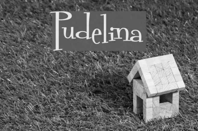 Pudelina Schriftart examples