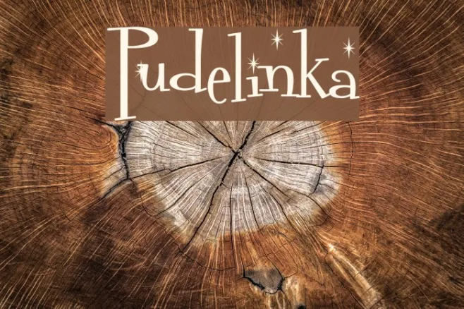 Pudelinka Example 1