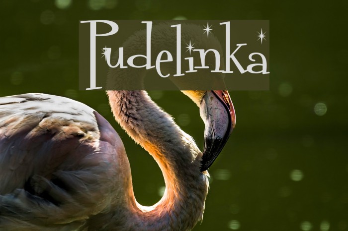 Pudelinka Font examples