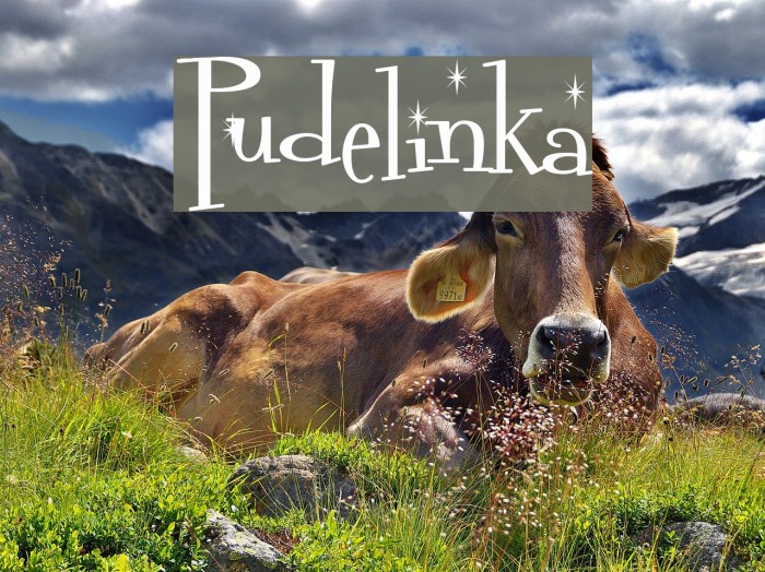 Pudelinka Font examples