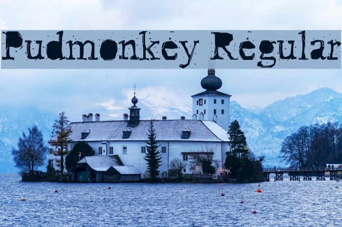 Pudmonkey Regular Font examples
