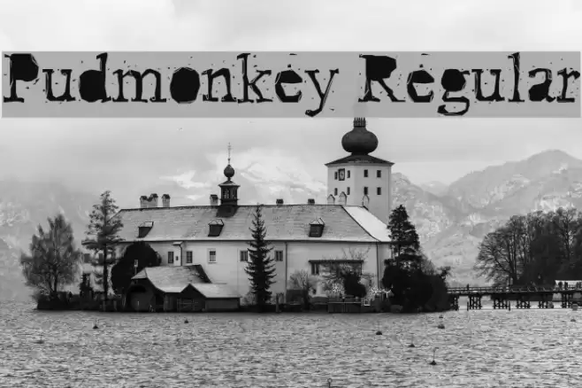 Pudmonkey Regular Font examples
