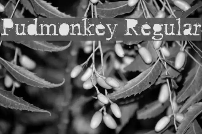 Pudmonkey Regular Font examples