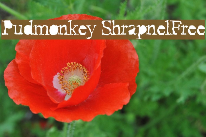 Pudmonkey ShrapnelFree Font examples