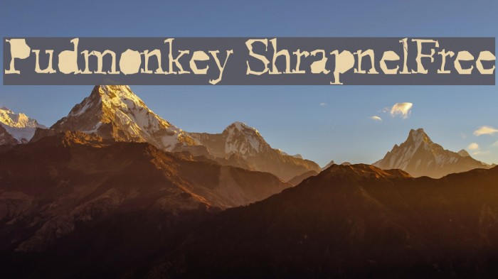Pudmonkey ShrapnelFree Font examples