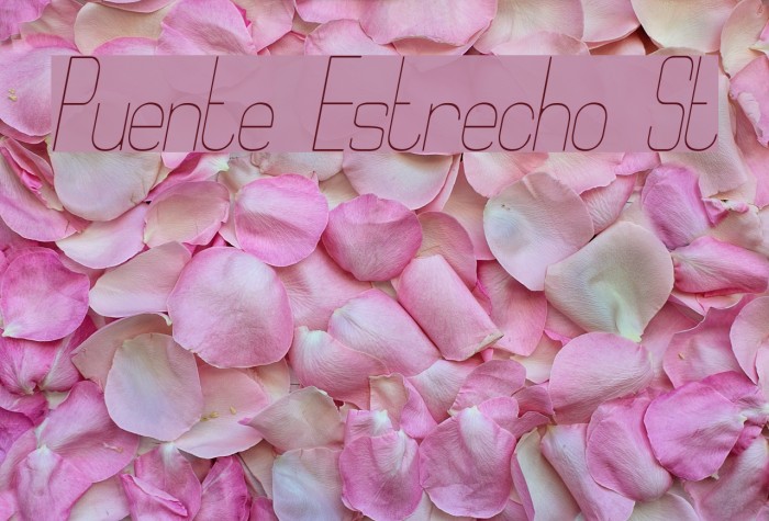 Puente Estrecho St Font examples