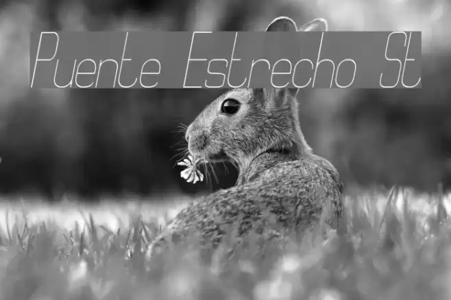 Puente Estrecho St Font examples