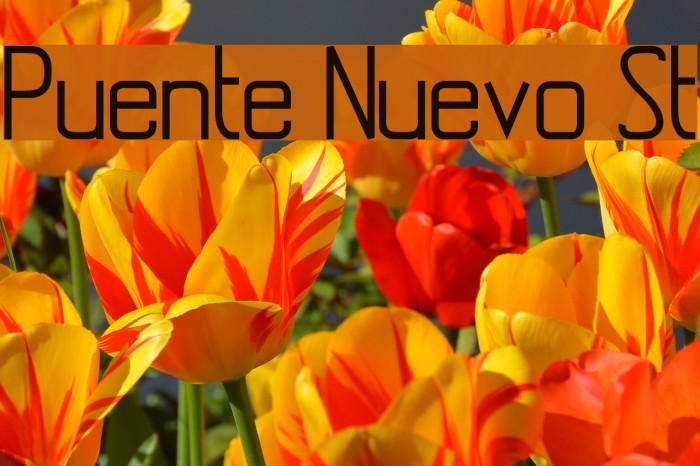 Puente Nuevo St Example 2