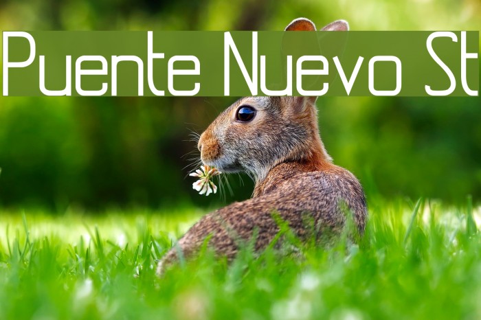 Puente Nuevo St Example 3