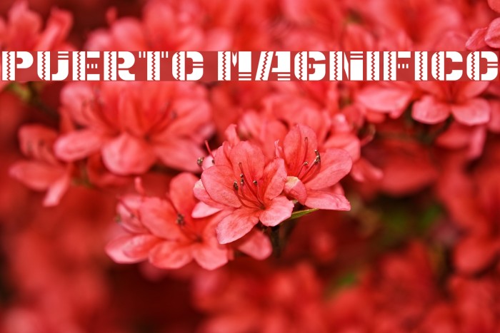 Puerto Magnifico Example 1