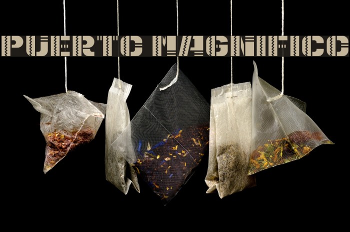 Puerto Magnifico Example 3