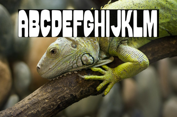 Puerto Rico Beach Example 1