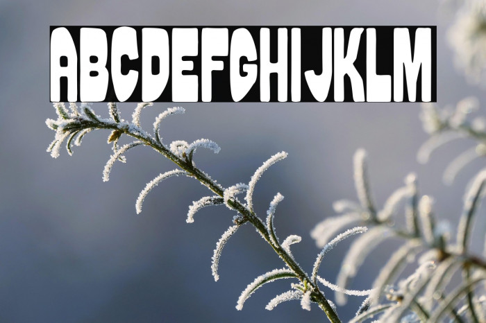 Puerto Rico Beach Example 2