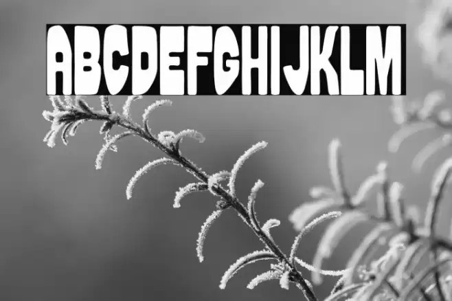 Puerto Rico Beach Font examples